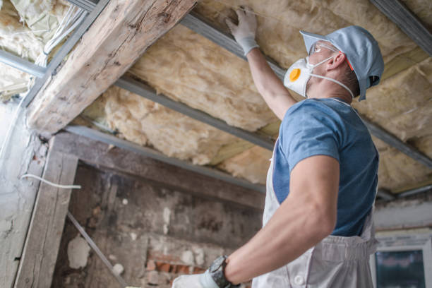 Best Insulation Installation Services in Stanleytown, VA