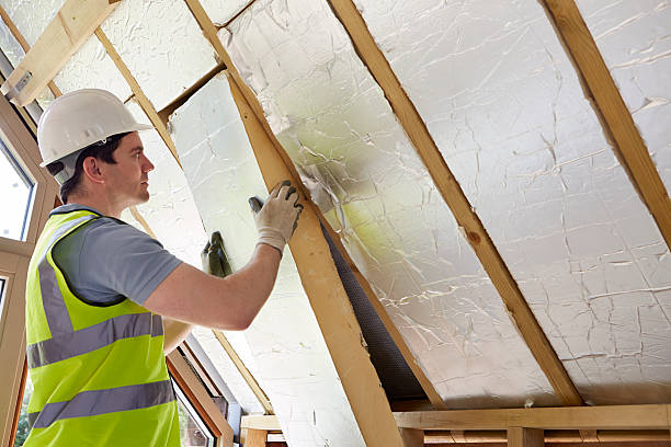 Best Commercial Insulation in Stanleytown, VA